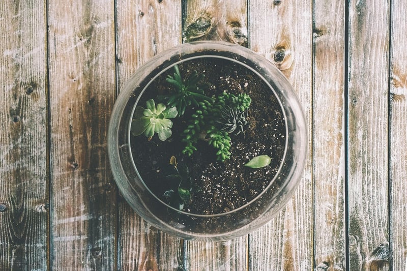 Nature-Inspired Art Installations